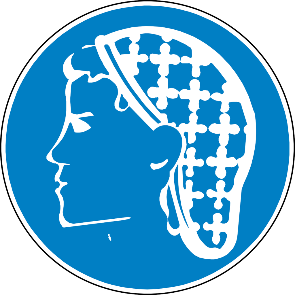 hairnet, snood-type cap, clean-98642.jpg