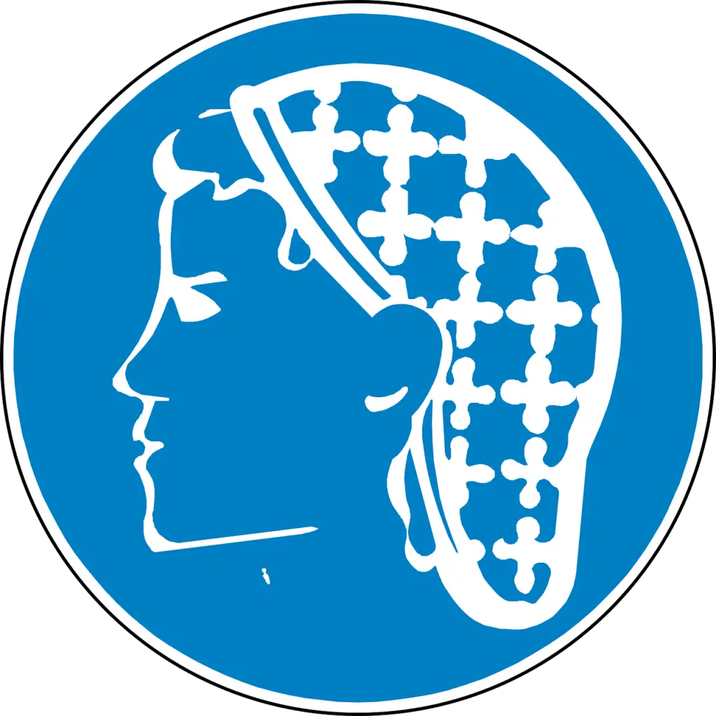 hairnet, snood-type cap, clean-98642.jpg